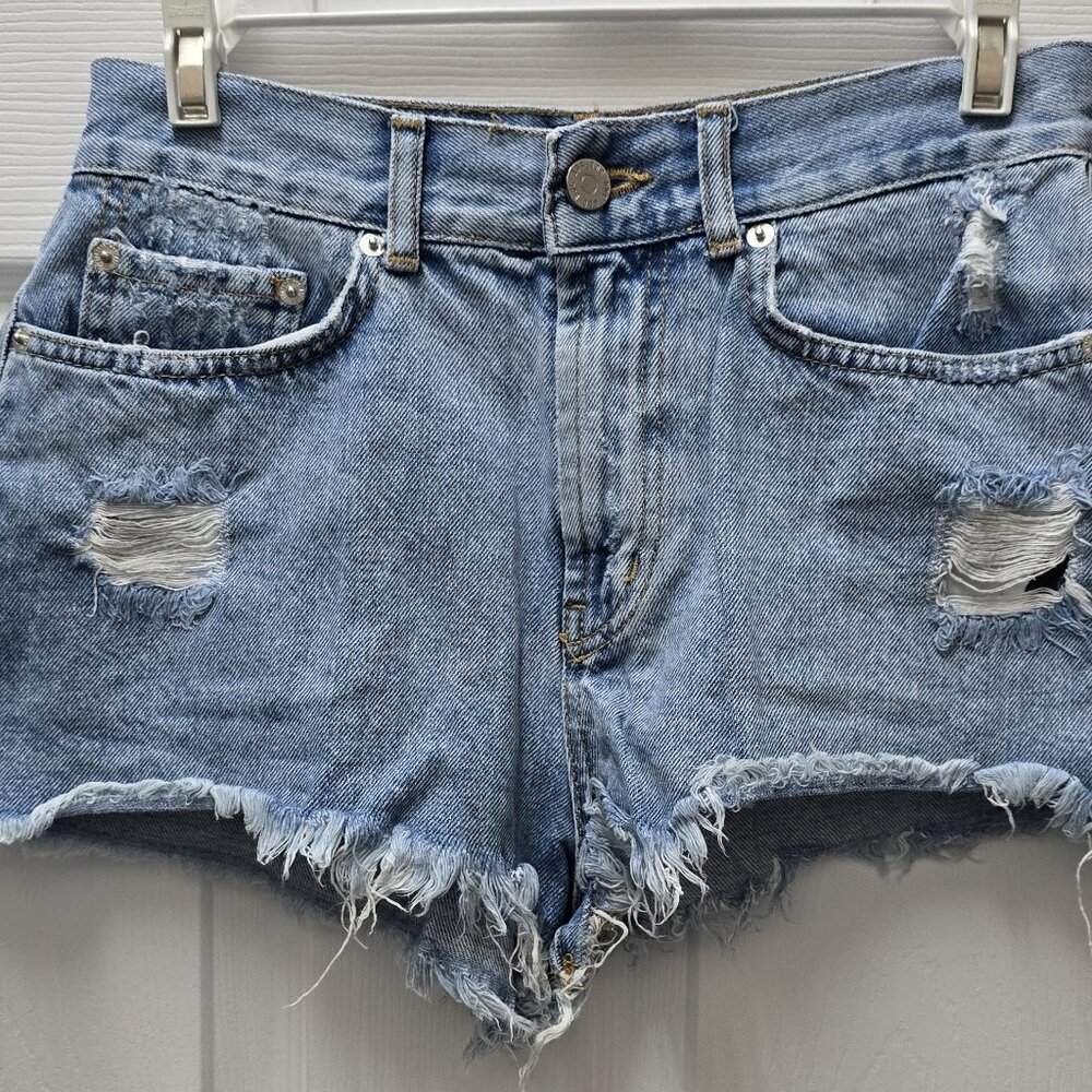 BDG Youth Hot Short 27